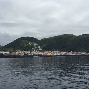 Meet your Posher, Austin